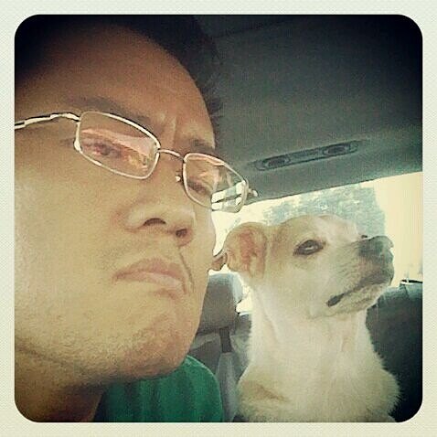 Mocha sitting in a car beside Vivian's husband, both looking ahead.